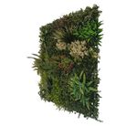 siepe-artificiale-meadow-100x100cm-verde-fissa