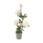 vaso-con-rosa-3-fiori-e-3-boccioli-d-dot-11xh55cm-in-4