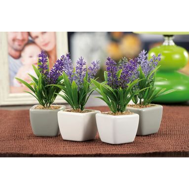 VASO?LAVANDA A2M2C 5X5XH13,5