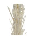 pampas-decorativa-crema-h100cm