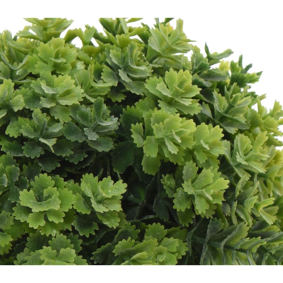 vaso-hedge-d-dot-12xh13cm-con-pianta