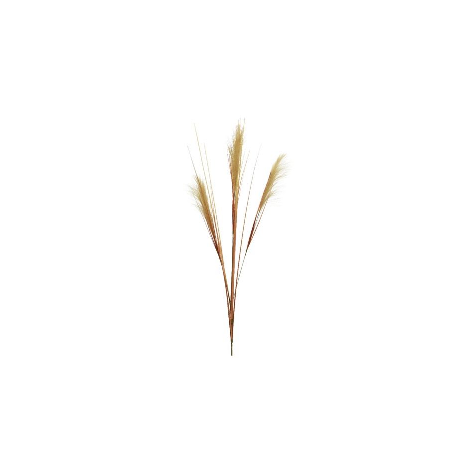pennacchio-decorativo-35xh115cm-sabbia