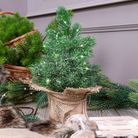 catena-40-microled-bianco-freddo-4m-a-batteria