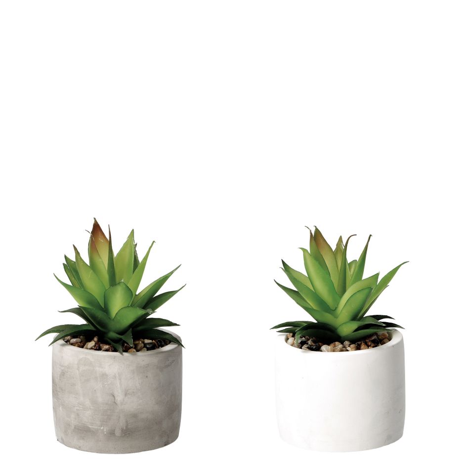 vaso-con-pianta-grassa-decorativa-d-dot-10xh18cm-in-2-7bcada