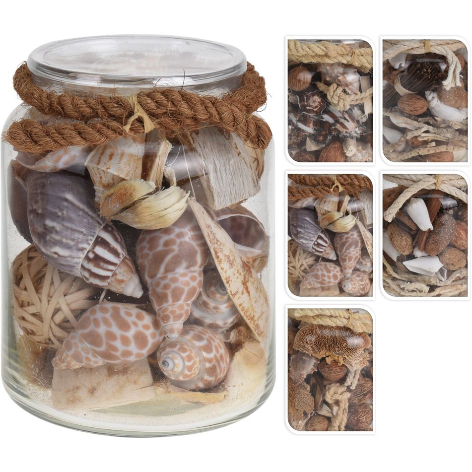 barattolo-con-conchiglie-in-3-assortimenti