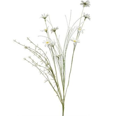 MARGHERITE A MAZZO 20CM
