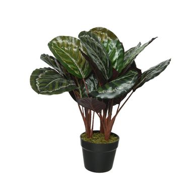 VASO CON CALATEA 60XH47CM