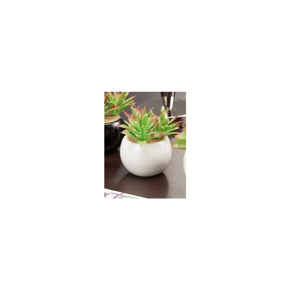 vaso-plus-pianta-gr-d75x55h