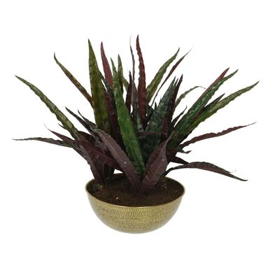 VASO CON CALATEA 84XH46CM