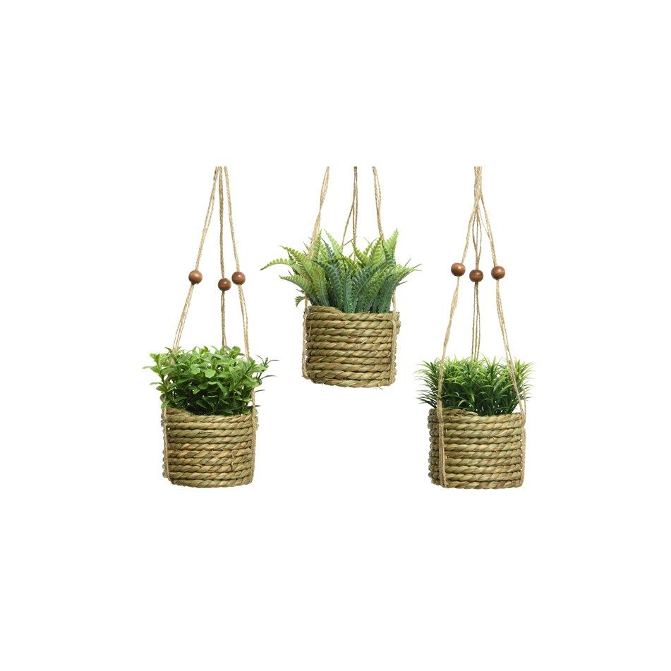 pianta-con-vaso-spago-8x8xh12cm-3-modelli
