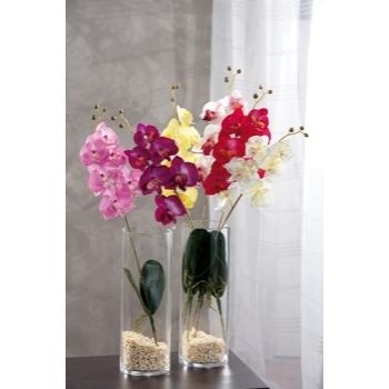 ORCHIDEA 6 FIORI ASS CM 57