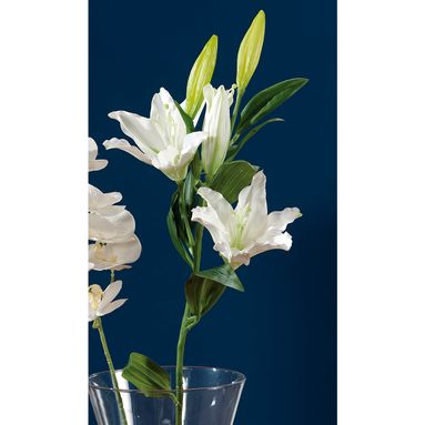 GIGLIO BIA 3FIORI+2BOC X DEC CM88,5