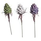 pitaya-decorativa-90cm-in-3-colori-assortiti