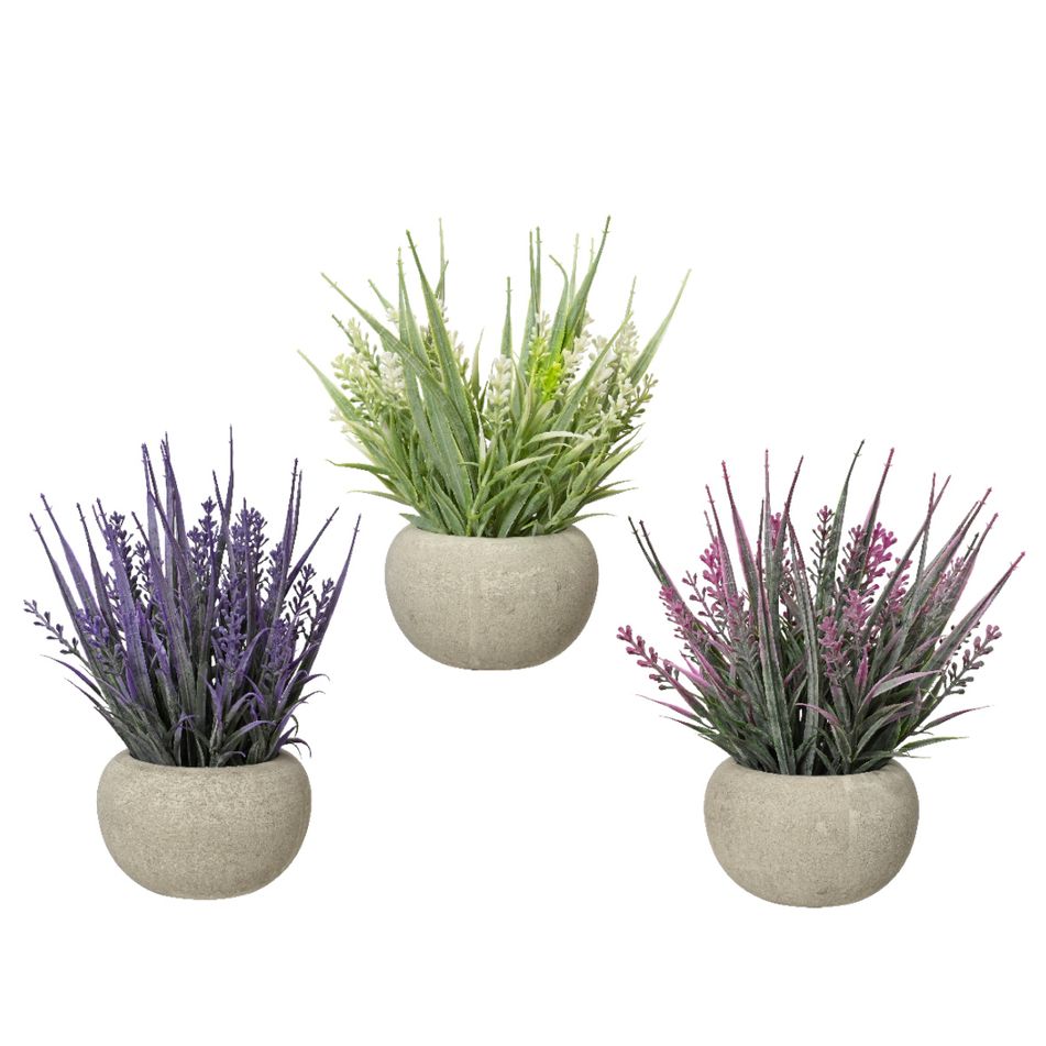 vaso-con-cataranto-d-dot-10xh20cm-in-diversi-colori