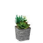 vaso-con-piante-grasse-8x8xh14cm-in-4-colori