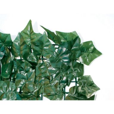 SIEPE SEMPREVERDE EDERA 1X3M