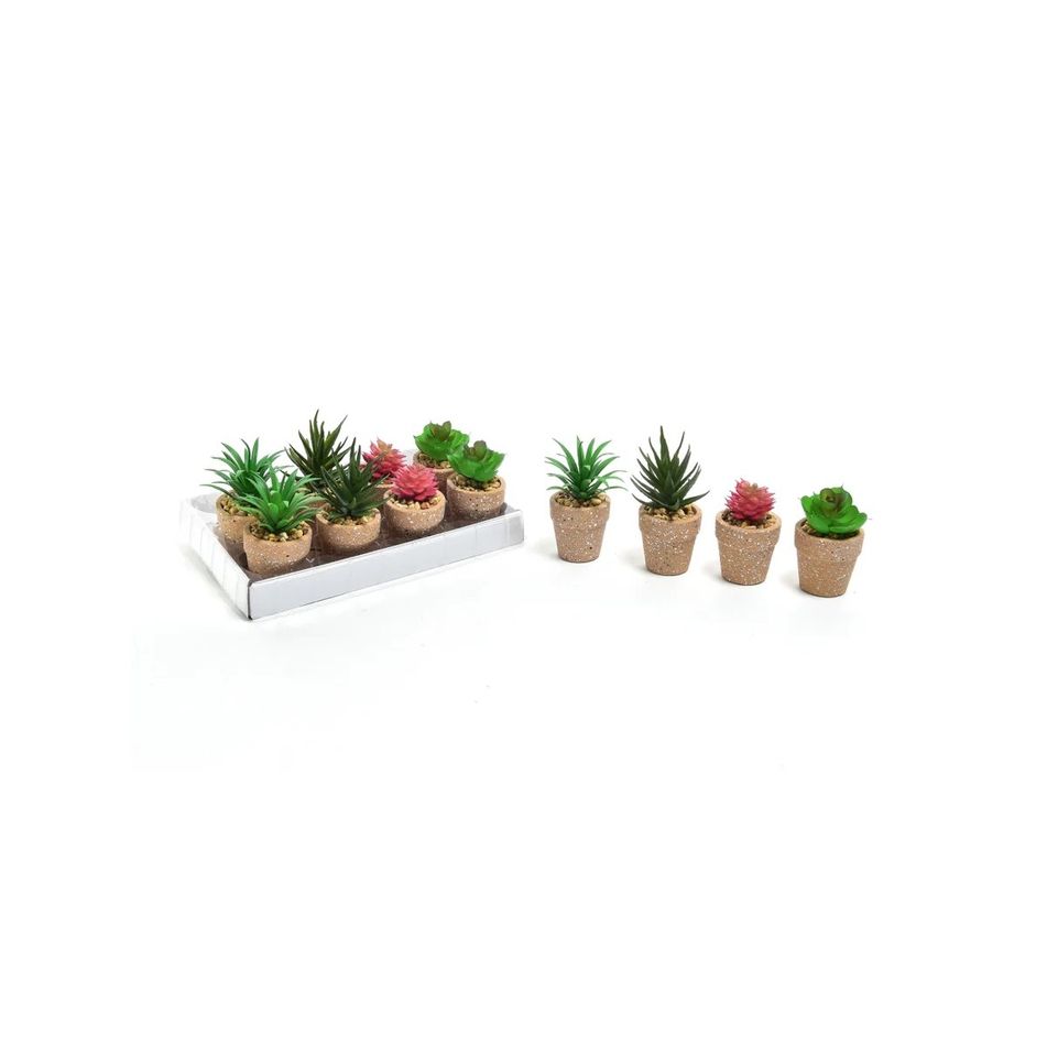 piantina-d-dot-5x5xh12cm-assortita-in-vaso-cemento
