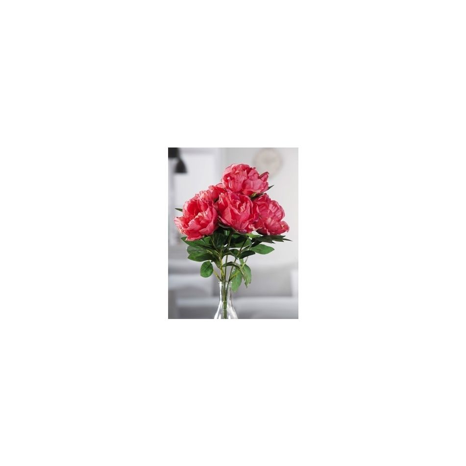 bouquet-peonie-5fio-x-dec-4c-cm43