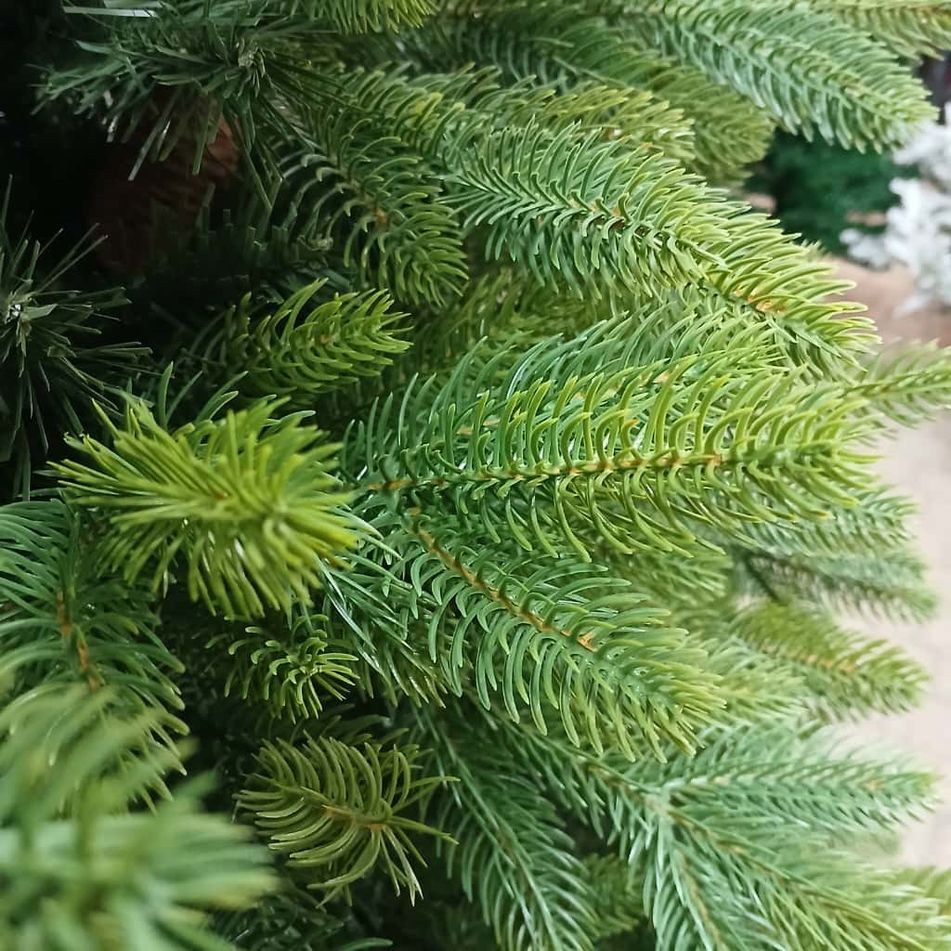albero-green-1506-rami-in-pvc-h210cm-con-pigne
