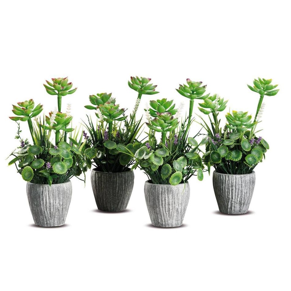 vaso-con-piantine-grasse-d-dot-20xh31cm-in-4-modelli