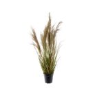 vaso-con-pampas-25x25xh65cm-in-plastica