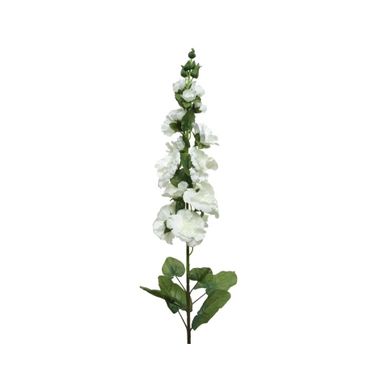 HOLLYHOCK IN STELO