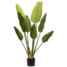 vaso-con-sterlizia-d-dot-40xh120cm