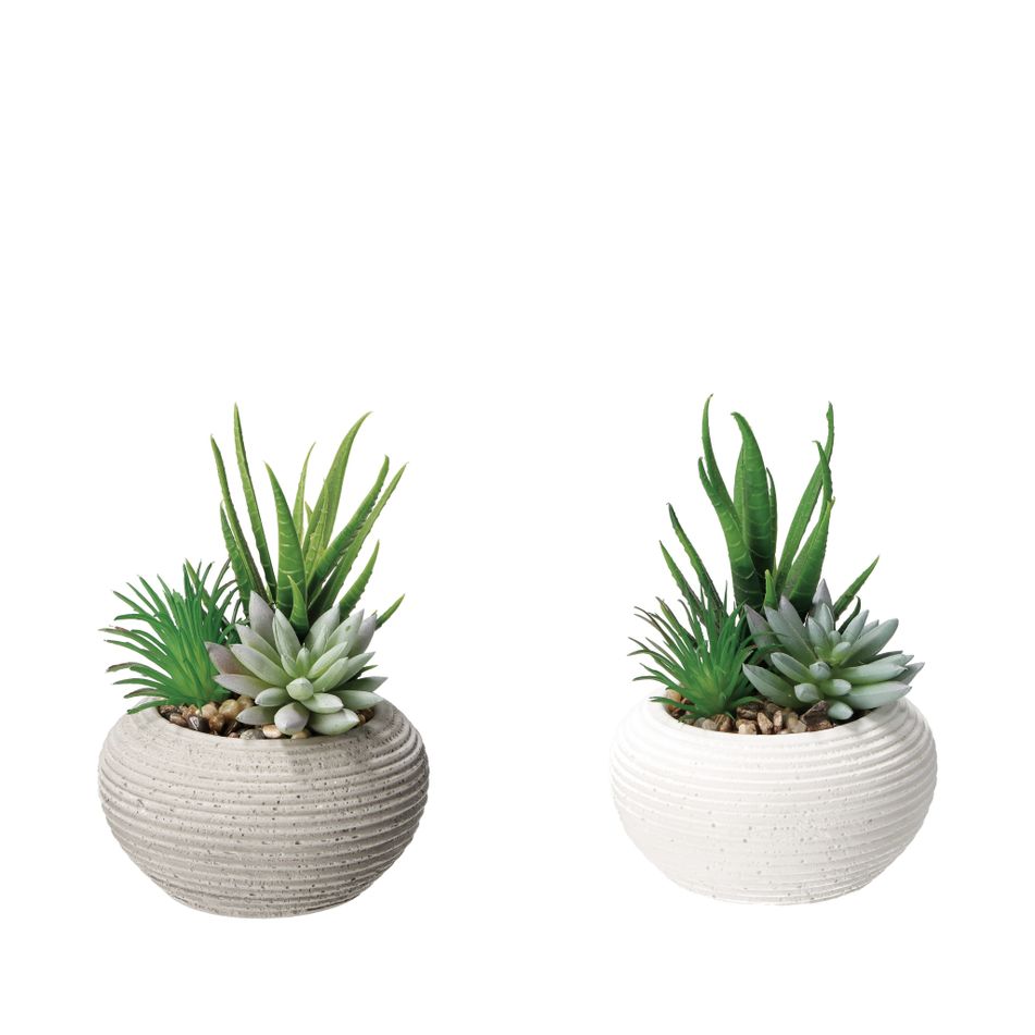 vaso-con-pianta-grassa-decorativa-d-dot-11xh15cm-in-2