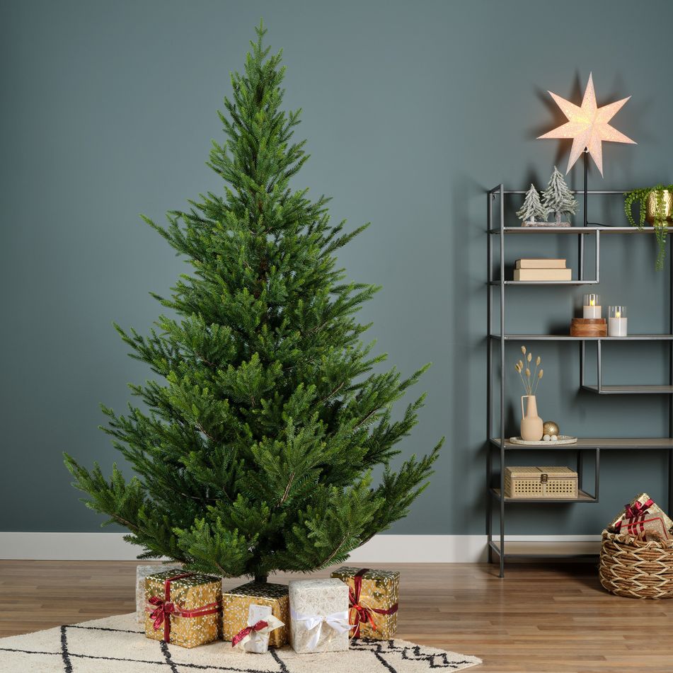 albero-norway-spruce-h300cm-7614-rami-d-dot-193cm