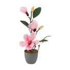vaso-con-magnolia-3-fiori-e-2-boccioli-d-dot-10xh40cm