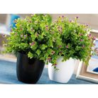 vaso-con-fiori-d-dot-12xh28cm-in-4-modelli-e-2-colori