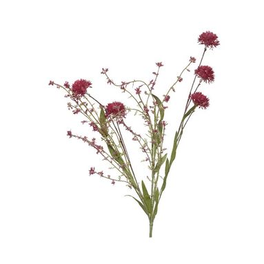 MAZZETTO DI DALIA
