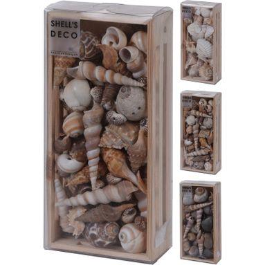 SCATOLA CON CONCHIGLIE DECORATIVE 22X10XH5CM IN 3
