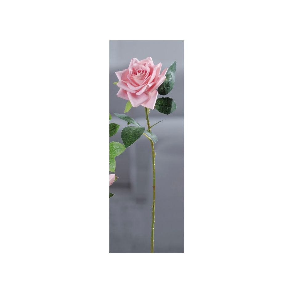 rosa-61cm-in-4-colori