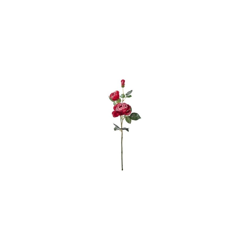 rosa-innev-2fiori1boc-nat-ross-cm73