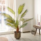 palma-in-vaso-d-dot-80xh120cm-verde-in-plastica