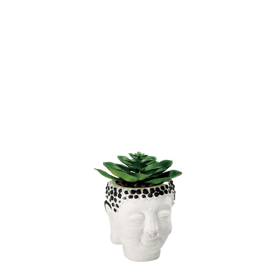 vaso-con-pianta-grassa-decorativa-d-dot-9xh13cm-in-2-c