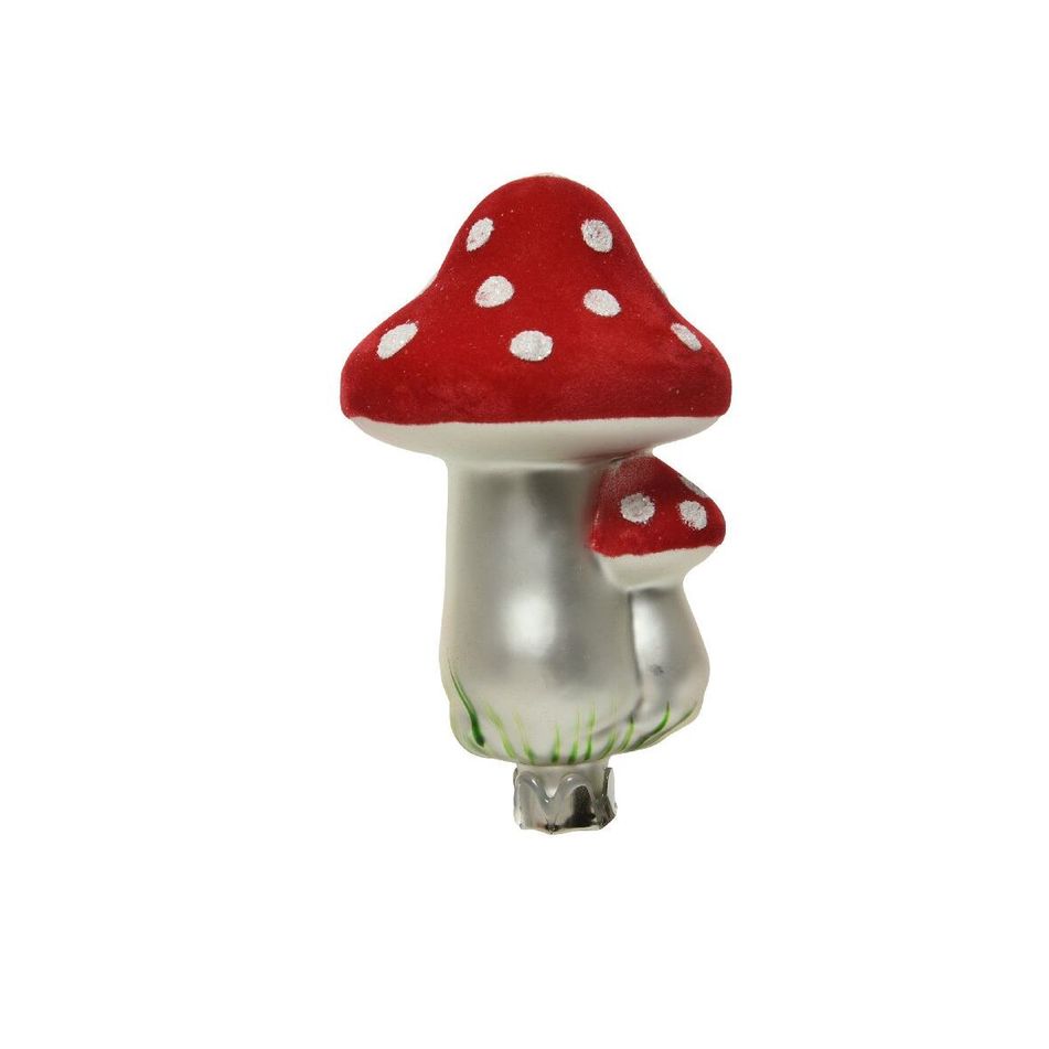 funghi-floccati-rossi-su-clip