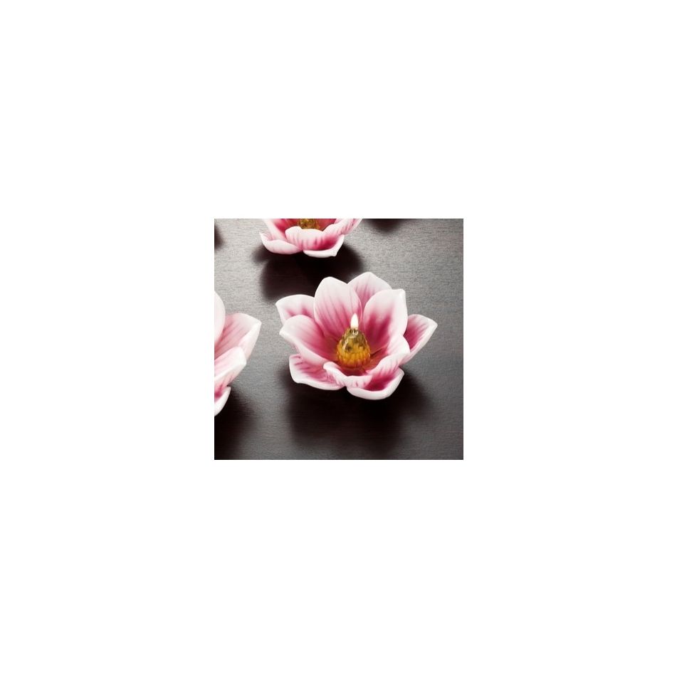 cand-gall-magnolia-a3c-d12xh4