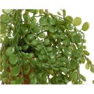 vaso-pensile-marrone-con-pianta-d-dot-10xh40cm-con-cor