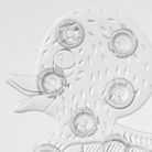 set-formine-antiscivolo-5-pz-bianco-duck