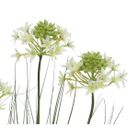 vaso-con-erba-e-fiori-d-dot-25xh60cm
