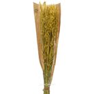 mazzetto-fiori-secchi-giallo-25x10x50cm