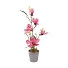 vaso-con-magnolia-5-fiori-e-3-boccioli-d-dot-11xh53cm