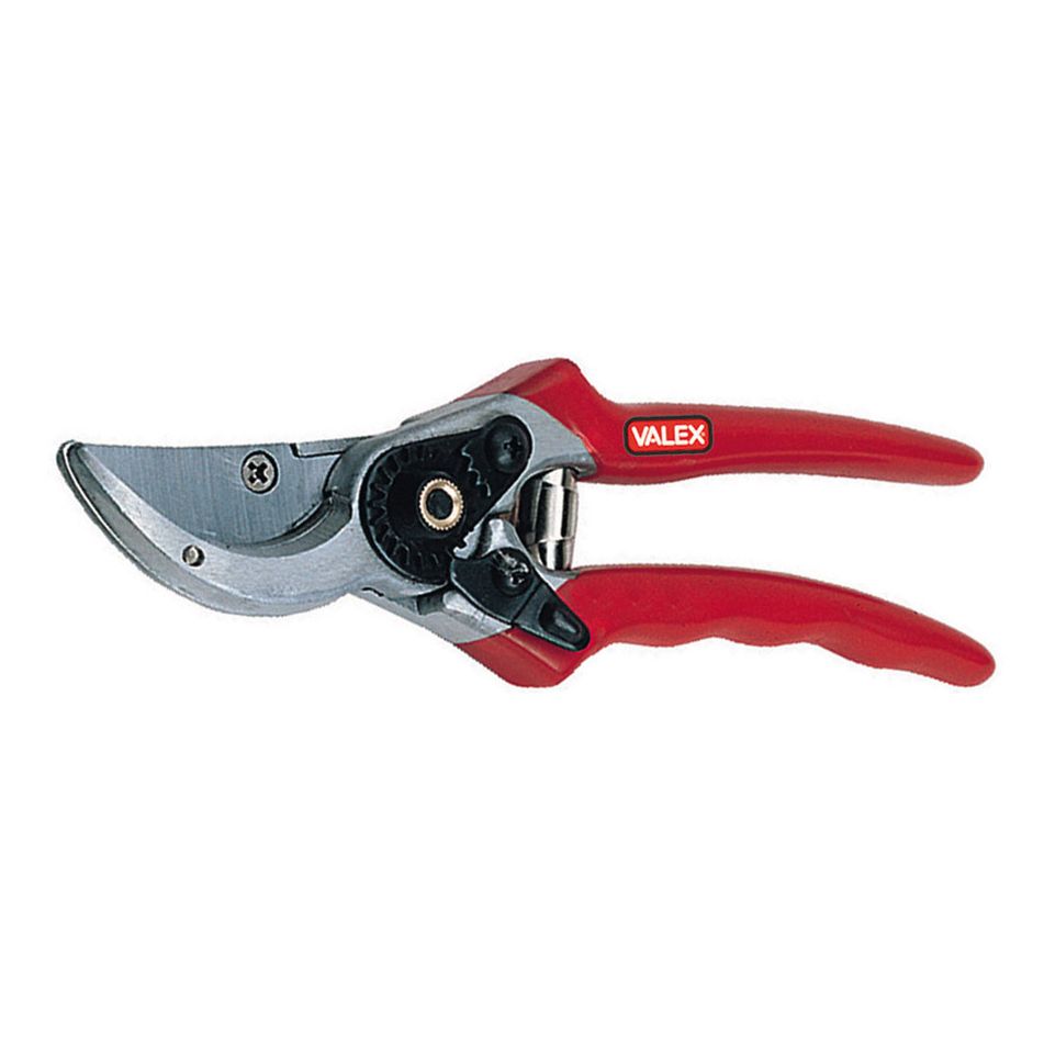 forbice-per-vigna-210mm