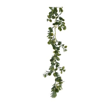 GHIRLANDA DI EUCALIPTO H180CM.