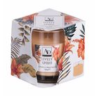 candela-profumata-d-dot-7xh8cm-in-4-fragranze-con-vase