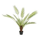 palma-in-vaso-d-dot-80xh120cm-verde-in-plastica
