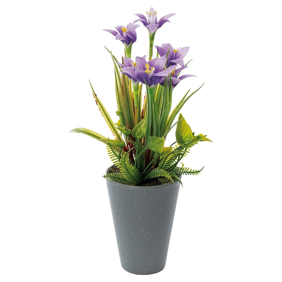 vaso-con-narciso-d-dot-9xh26cm-in-4-colori
