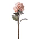 ortensia-innevata-cm85-rosa-slash-arancione